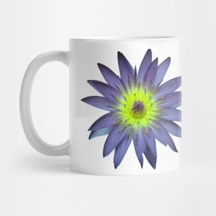 Water Lily Mug